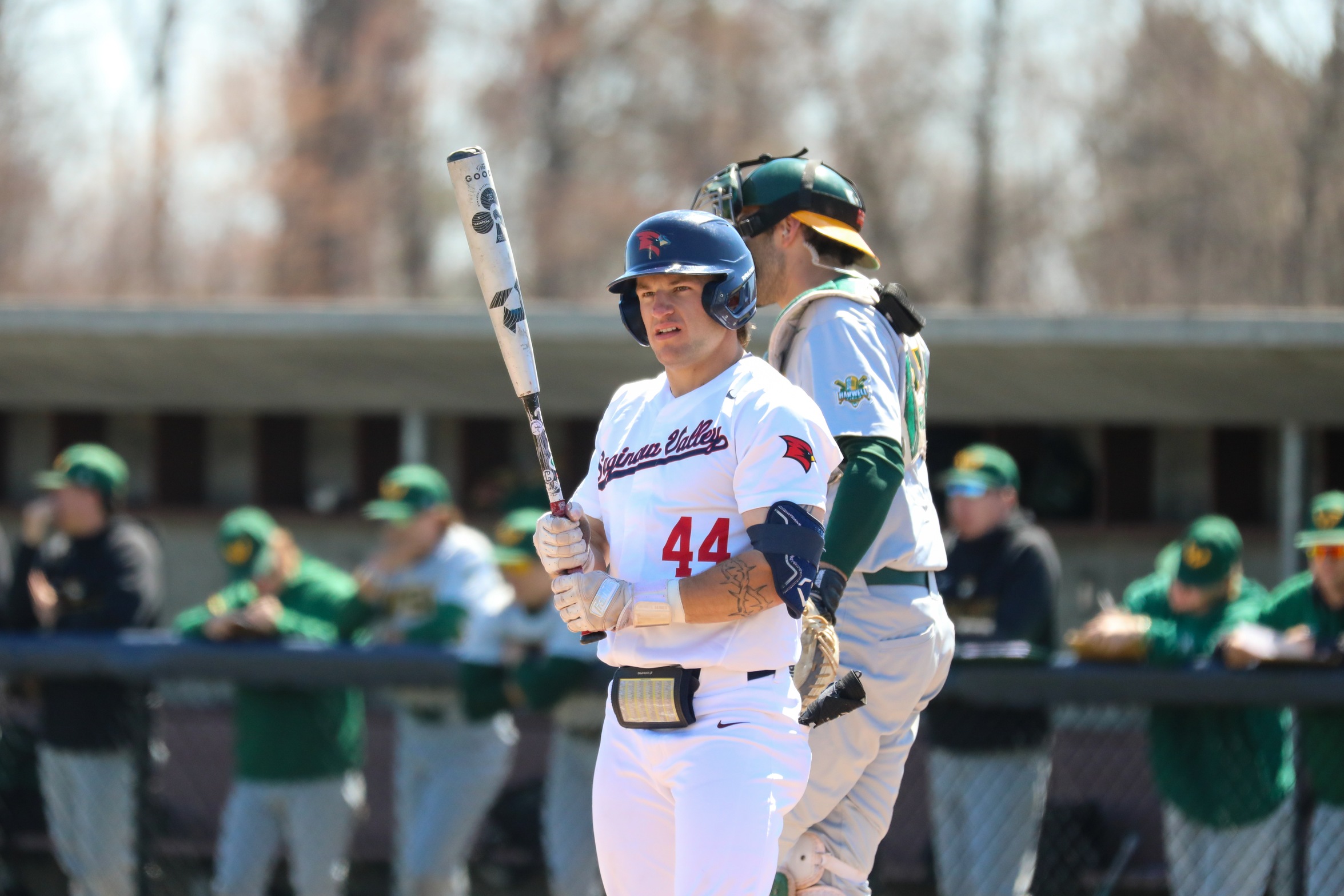 Baseball Loses Series Finale to Davenport