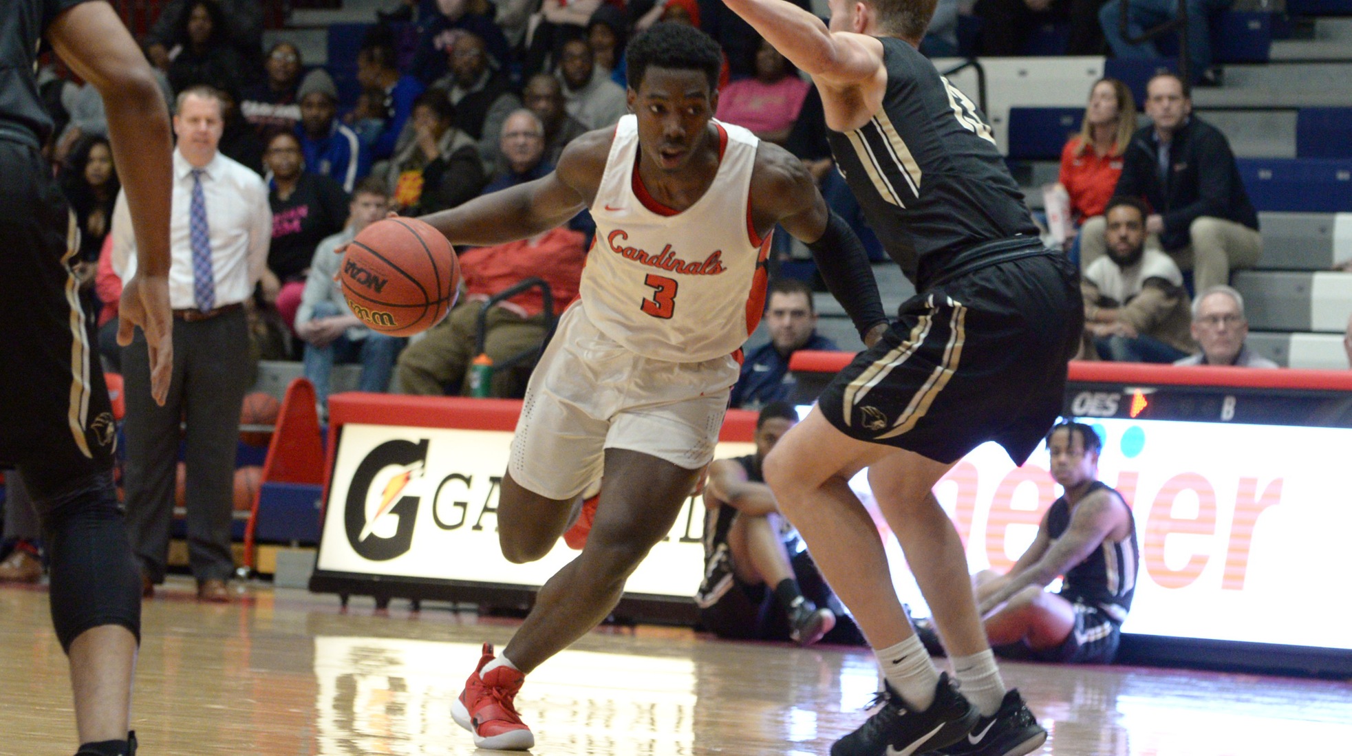 Panthers take down Cardinals in Thursday night action, 76-39