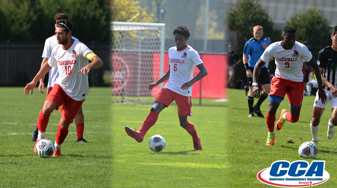 Three Cardinals earn D2CCA All-Midwest Region Honors