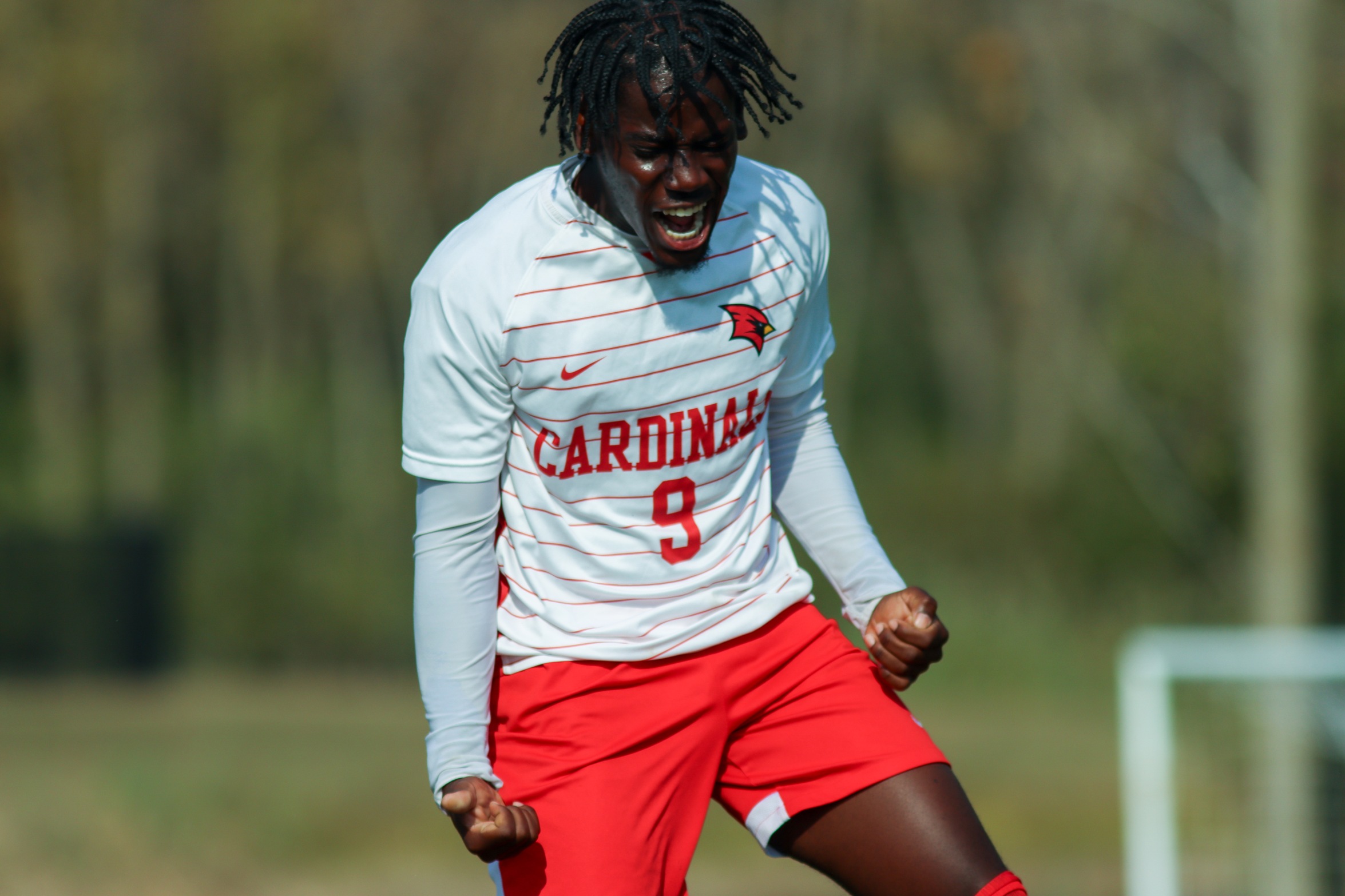 Cardinals Take Down No. 13 St. Cloud State