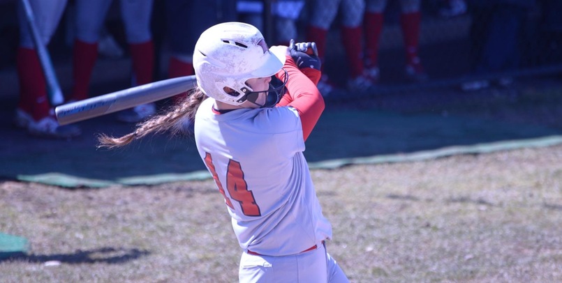 SVSU splits at Wayne State after game two victory