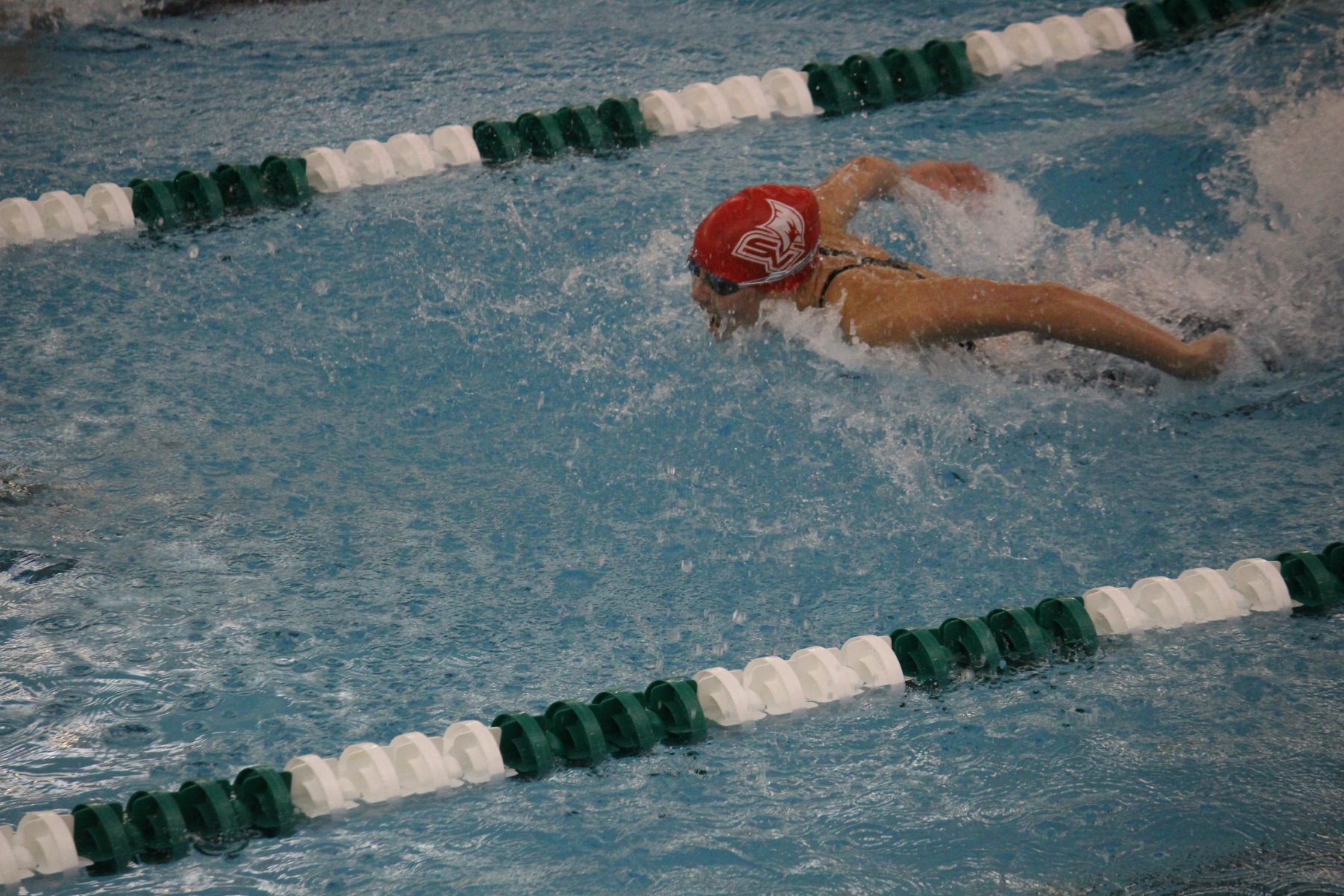 SVSU Swim & Dive Competes Versus Northern Michigan & Grand Valley State