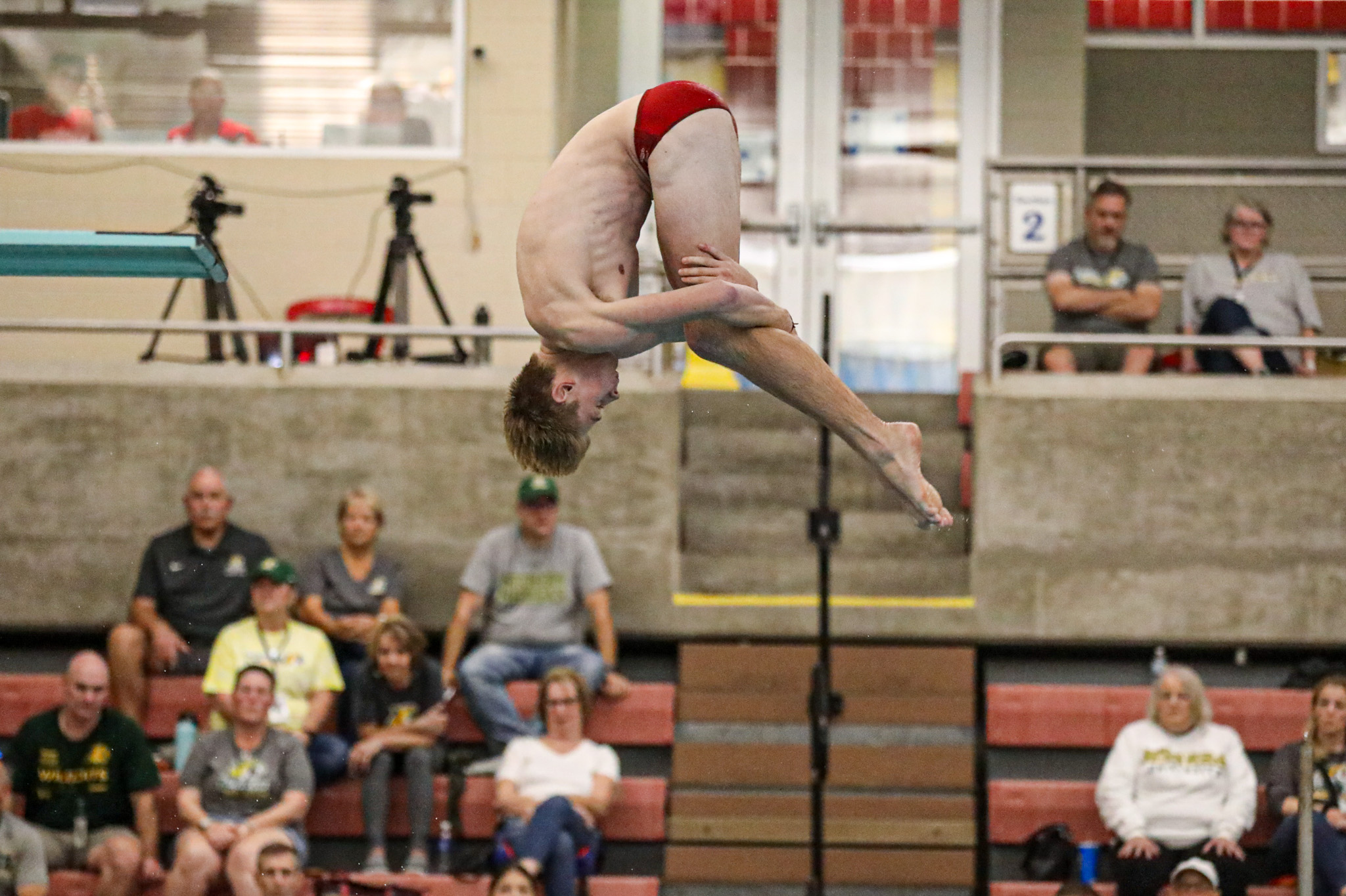 Cardinal Swim & Dive Splits Against Davenport as Kauffman Sets Diving Record
