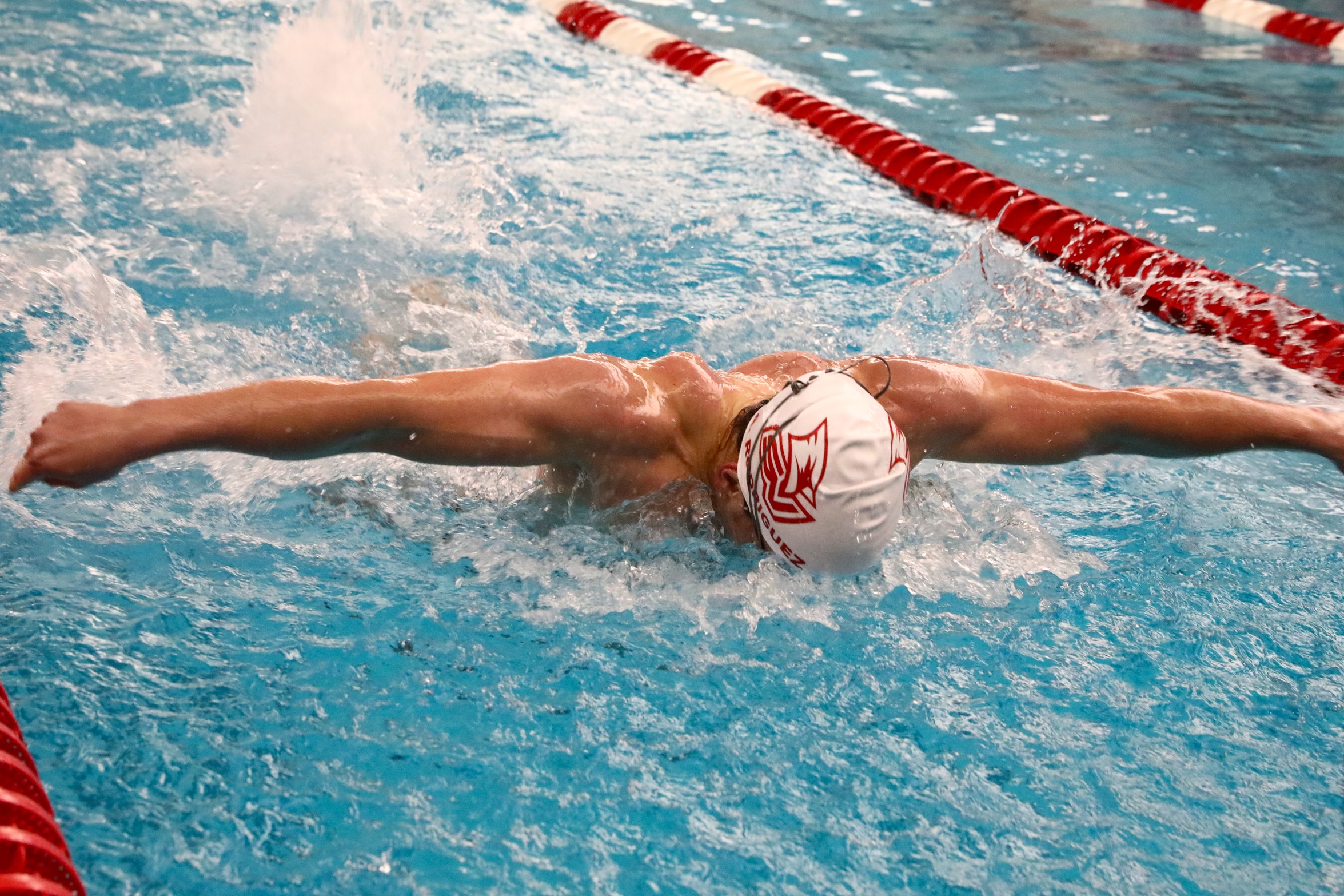 Cardinal Swim & Dive Posts Two More Records on Day Three of GLIAC Championships