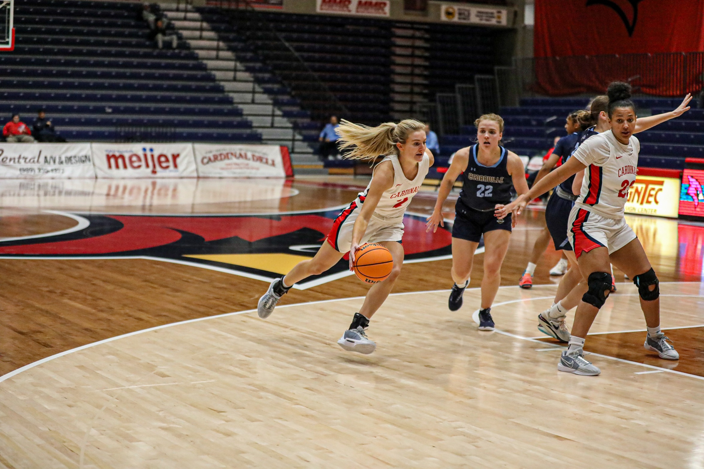 Women&rsquo;s Basketball Slips in Close Battle Against Wayne State
