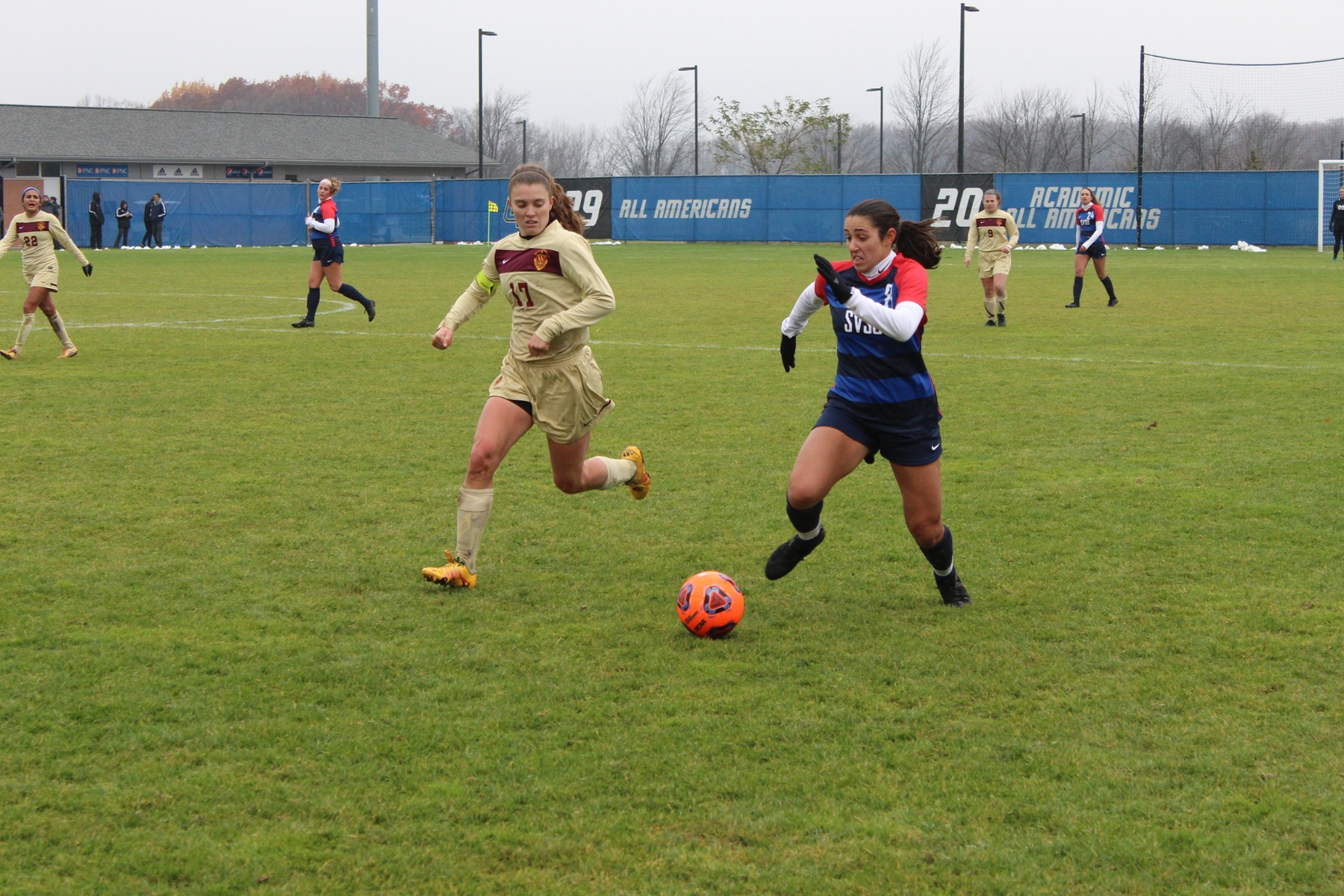 Cardinals Fall in Opening Round of NCAA Tournament to Walsh 1-0
