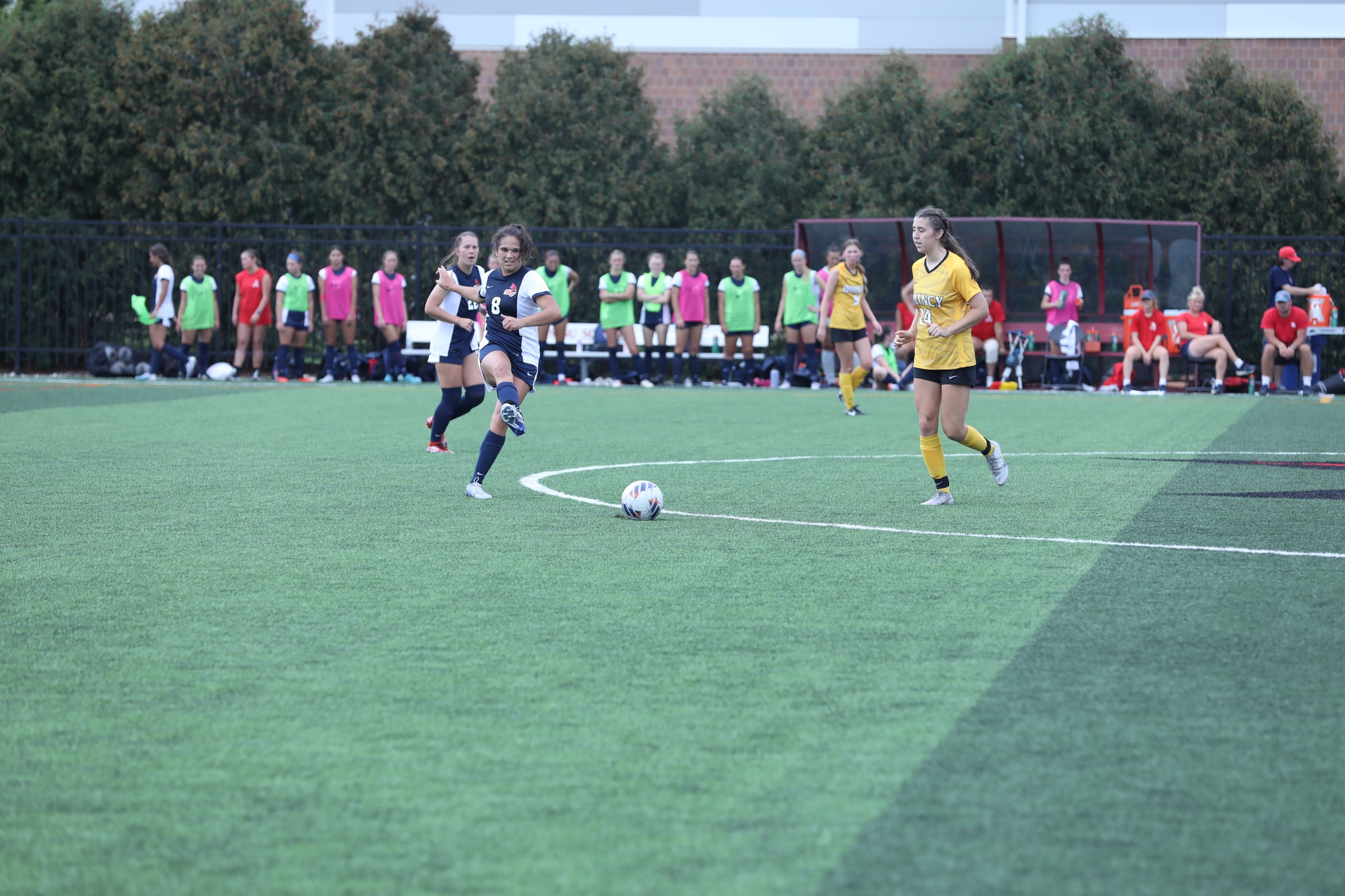 Cardinals Experience First Loss at Ashland