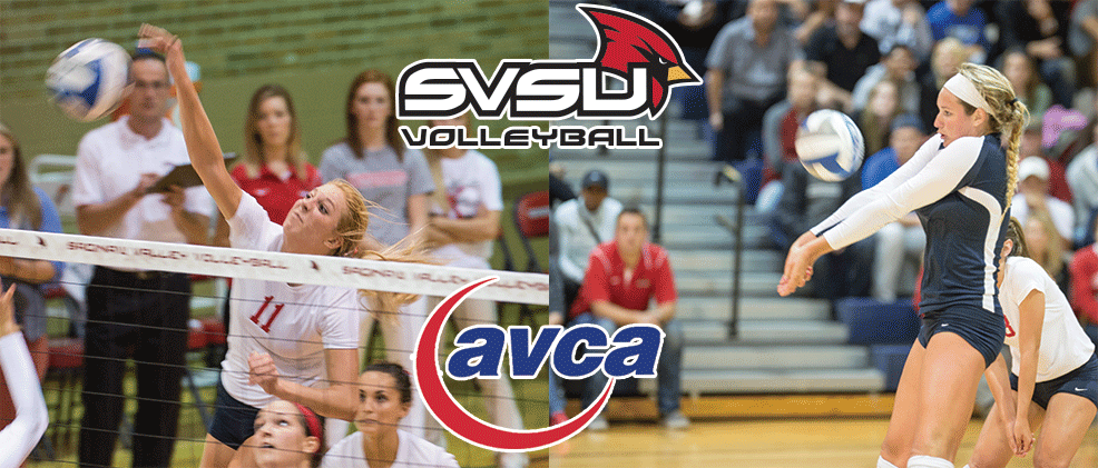 Frodle and Ferla Named AVCA All-Midwest Region Honorable Mention