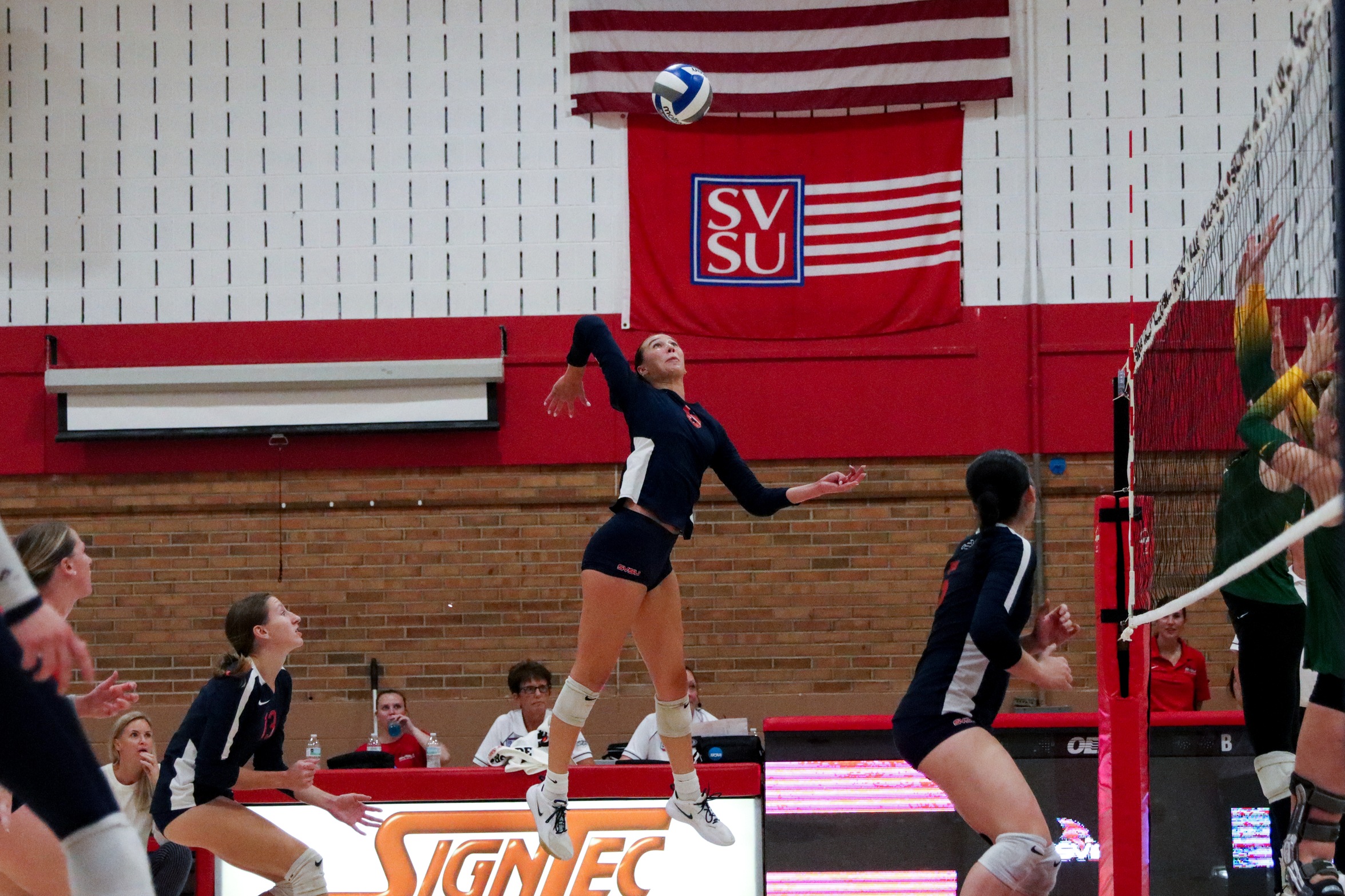 Volleyball Shows Grit in Loss to Wayne State