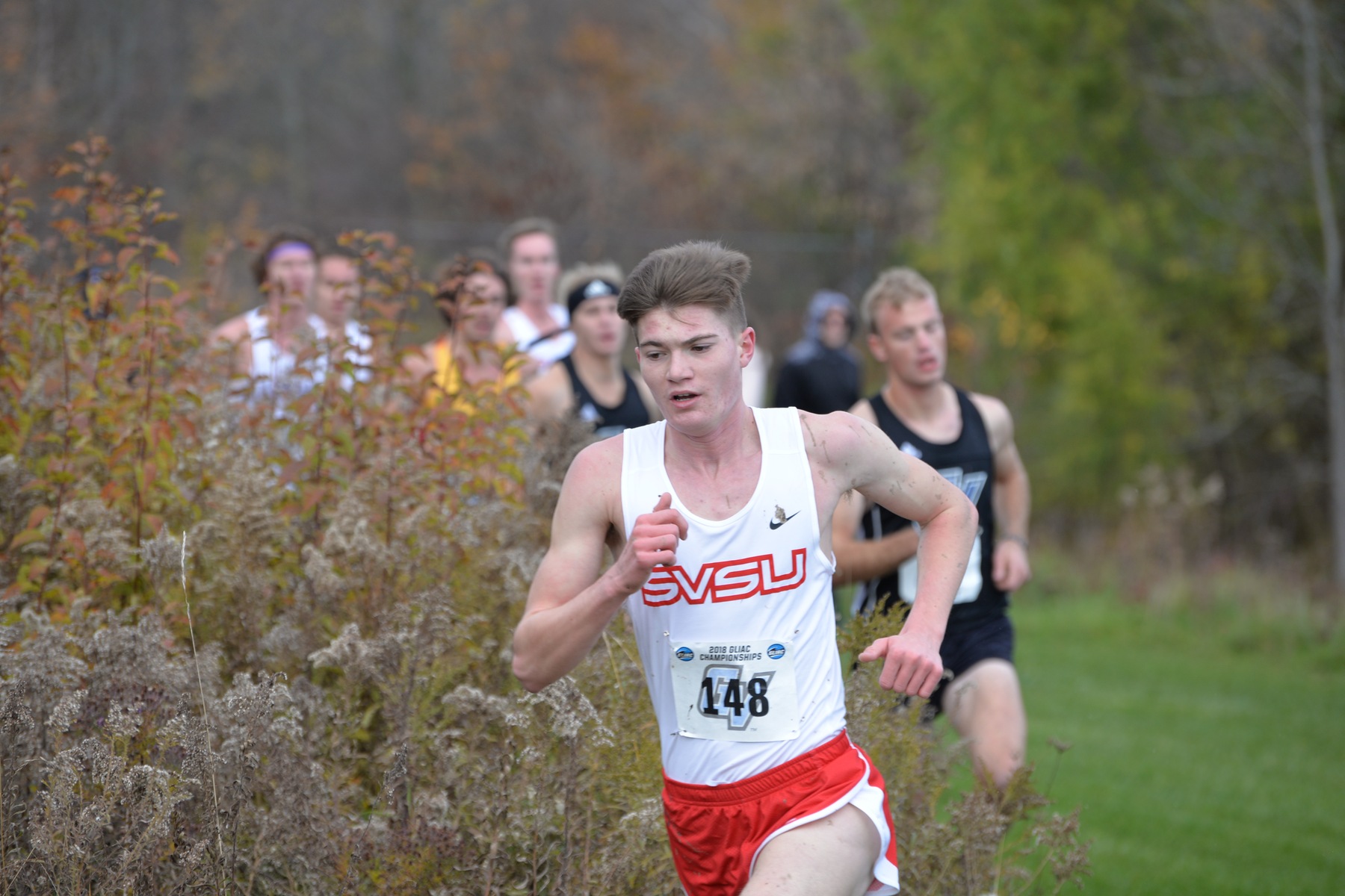SVSU Cross Country Teams Sweep Northwood Invitational